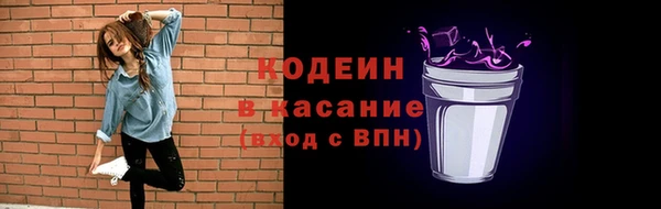 spice Бородино
