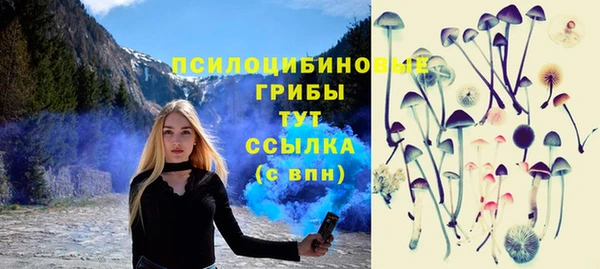 спайс Богородск