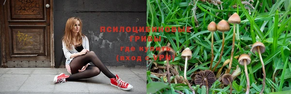 хмурый Бронницы
