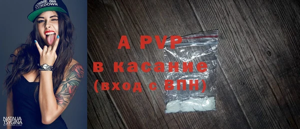 spice Бородино