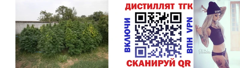 ТГК THC oil  omg маркетплейс  Горняк  дарнет шоп 